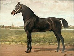 Peinture représentant le profil gauche d’un cheval bai foncé à l’avant-main forte.