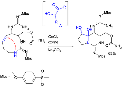 Hemiaminal formation in saxitox in synthesis