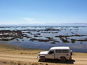 Image illustrative de l’article Lac Junín