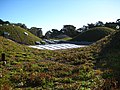 カリフォルニア・科学アカデミー新館