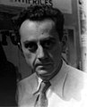 Man Ray américain, portraitiste et photogramme