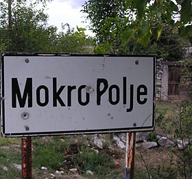 Mokro Polje