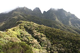 Vue du morne de Fourche sous les nuages depuis le dernier parking de la route forestière du Haut Mafate.