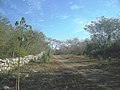 Vista de Mucuyché Campos.