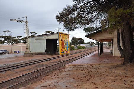 Quairading shed and yard