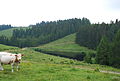 Stausee Freiländer Alm