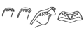 Drawing of radular teeth of Semisulcospira libertina