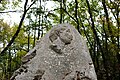 Eichenhain von Serpentara, Fels mit Inschrift und Wilhelm II-Relief