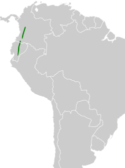 Distribución geográfica de la tangara de Stolzmann.