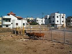 Gateway to the southern part of the village of Ghajar