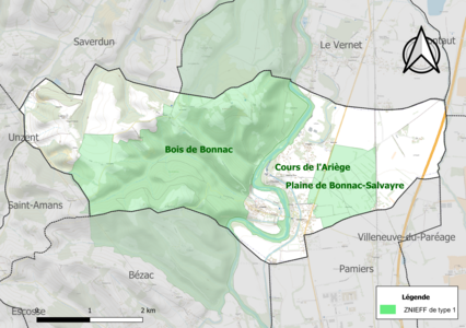 Carte des ZNIEFF de type 1 sur la commune.