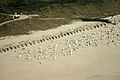 Strand Spiekeroog