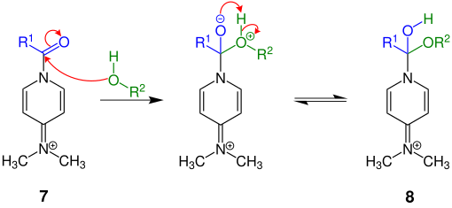 Teilschritt des Mechanismus der Steglich-Veresterung