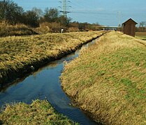 Die Mündung des Ziegelbachs in den Winkelbach