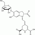 2005年12月1日 (木) 15:49時点における版のサムネイル