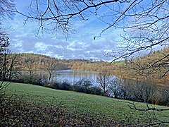 Bever bei Kleinhöhfeld