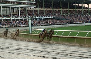 Thoroughbred horse racing at Monmouth Park Racetrack in Oceanport