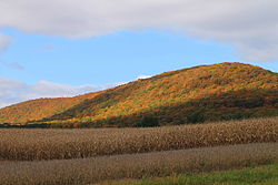 Buck Mountain in North Union Township