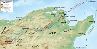 A relief map of part of north Africa, showing the site of the battle and the movements of Scipio's forces during the campaign