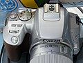 Canon 250D in Silver