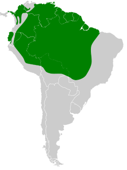 Distribución geográfica del cuco ardilla menor.