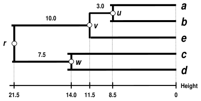 WPGMA Dendrogram 5S data