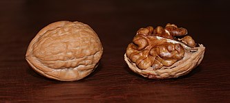 File:English Walnuts.jpg