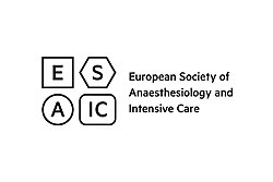 The current ESAIC logo