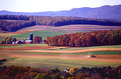 A farm near Klingerstown