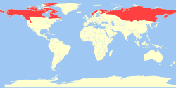 Distribución del glotón