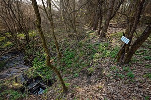 Гідрологічна пам'ятка природи Джерело «Овече»