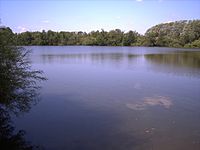 Der an Elmschenhagen angrenzende Tröndelsee, fotografiert in Richtung Westen, links im Bild ist noch die Spitze des Kieler Fernmeldeturms zu erkennen (Aufnahme August 2009)