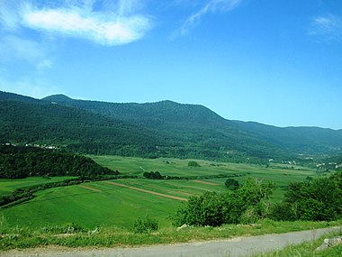 Kosinjsko polje