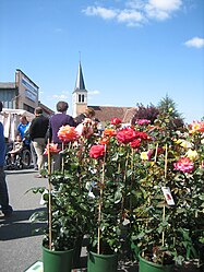 A scene from the plant fair, with the church in the background