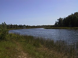 Mink River showing streambank and vegetation