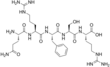 Imagen de la estructura