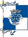 Estandarte da vila de Resende (esquartelado)