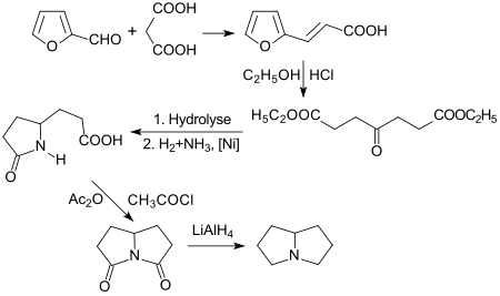 Pyrrolizidin via Diketopyrrolizidin