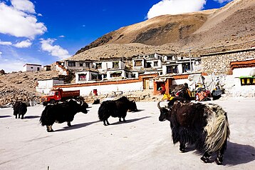 Mosteiro de Rongbuk