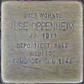 Ilse Oppenheim