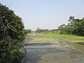 Sutia River at Dapuniya Bazar, Trishal