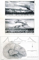 Drawing of Taal Volcano in 1860