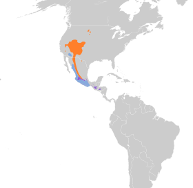 Distribución geográfica del vireo plomizo.