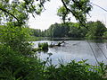 Wohldorfer Mühlenteich