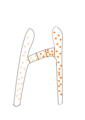 Image 42Fungi within Zygomycota form progametangia with suspensors during mating (from Mating in fungi)