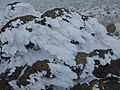 岩に付着した樹氷（福島県安達太良山）