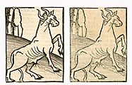 Bos primigenius taurus. Left: Hortus Sanitatis, Straßburg 1497 (II, 14). Right: Kleines Destillierbuch (Blatt 87r)