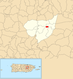 Location of Aguas Buenas barrio-pueblo within the municipality of Aguas Buenas shown in red