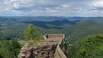 Aussicht von der Wegelnburg über den Pfälzerwald