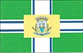 Bandeira de São José do Divino